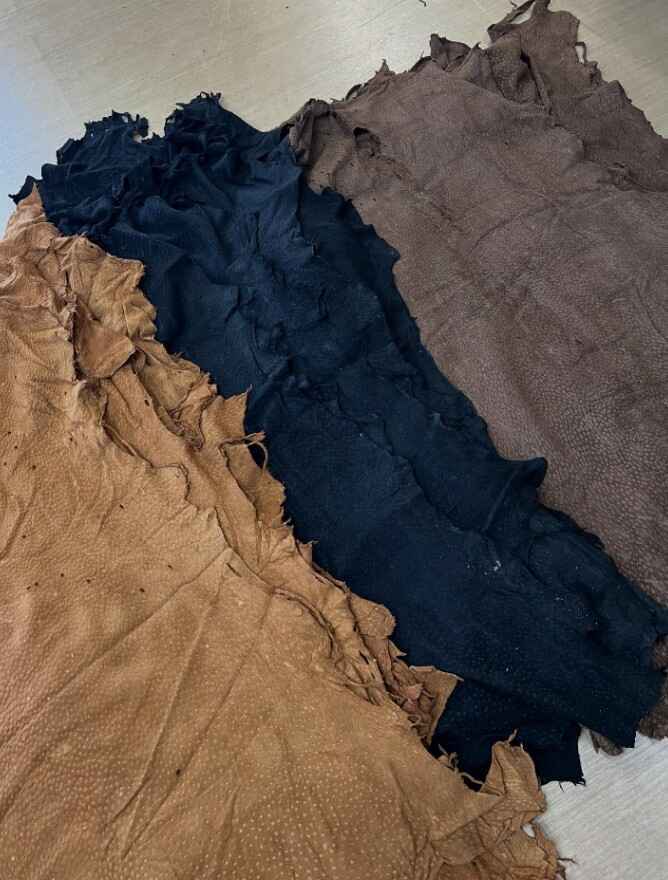 スクリーンショット 2025-11-06 225204.jpg